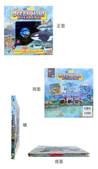 OCEAN HUNT 海の生き物を探せ！