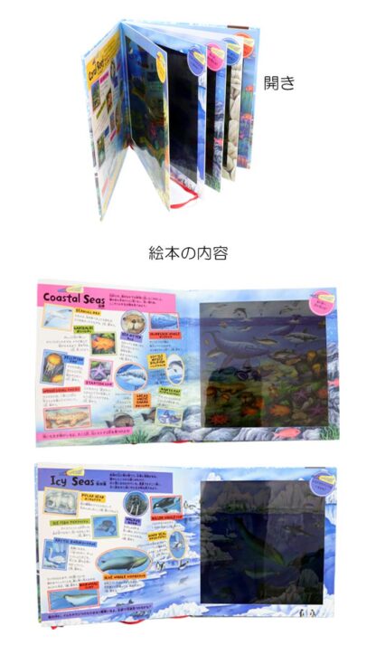 OCEAN HUNT 海の生き物を探せ！