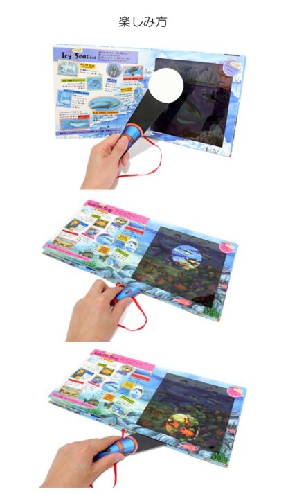 OCEAN HUNT 海の生き物を探せ！