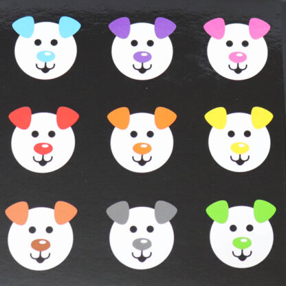 faces はじめてのえほん baby sees