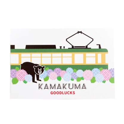 ポストカード 紫陽花セット