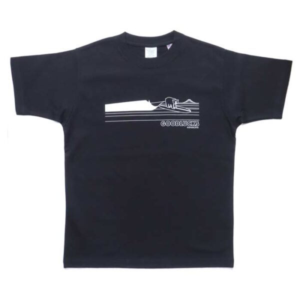 10th anniversary  Surf Ⅲ　BLACK
